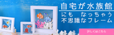 ƩåפǺʤ֥ƥåǥץ쥤סʥե졼