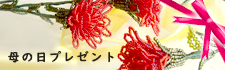 Ǵդ ץ쥼