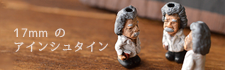 17 mm Υ󥷥奿Einstein