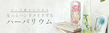 ӡ󤬺롣äȥϥɥᥤɤ ϡХꥦࡣӡեκ