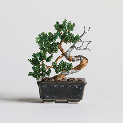 �ͥ��å�BONSAI�ʿ����