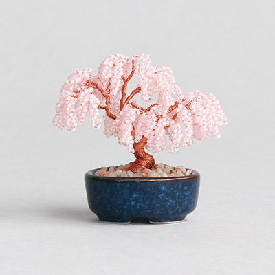 �ͥ��å�BONSAI�ʻ޿����