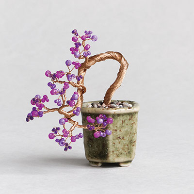 �ͥ��å�BONSAI�ʻ缰����