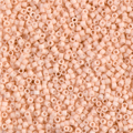 �����ƥ�̿�