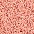 ǥꥫӡ DB206