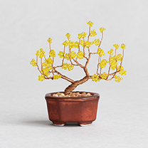 �����ƥ�̿�