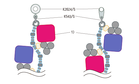 レシピ商品詳細｜ビーズファクトリー ビーズ・パーツ・金具など