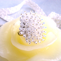 �����ƥ�̿�