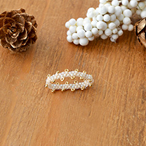 �ڥ衼�ƥ��ƥå��Ǻ�� ��󥰥ɥåȤΥӡ������ 