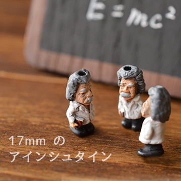 17 mm のアインシュタイン「Einstein」