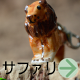 サファリチャーム