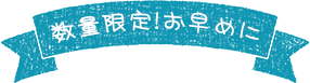 数量限定。お早めに