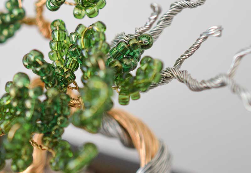 ネジッテBONSAI Shimpaku / 真柏