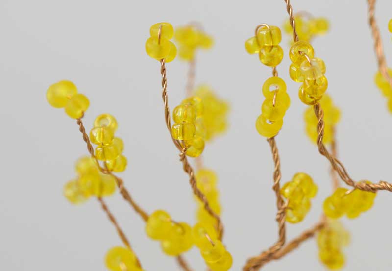 ネジッテBONSAI Winter sweet / 蝋梅