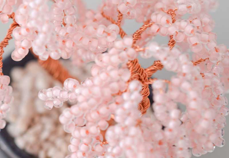 ネジッテBONSAI Weeping cherry blossoms / 枝垂桜