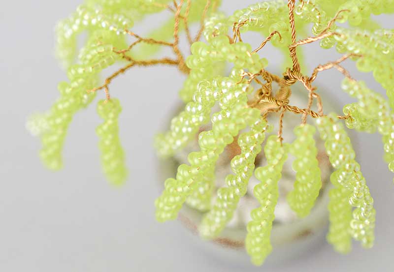 ネジッテBONSAI Willow / 柳