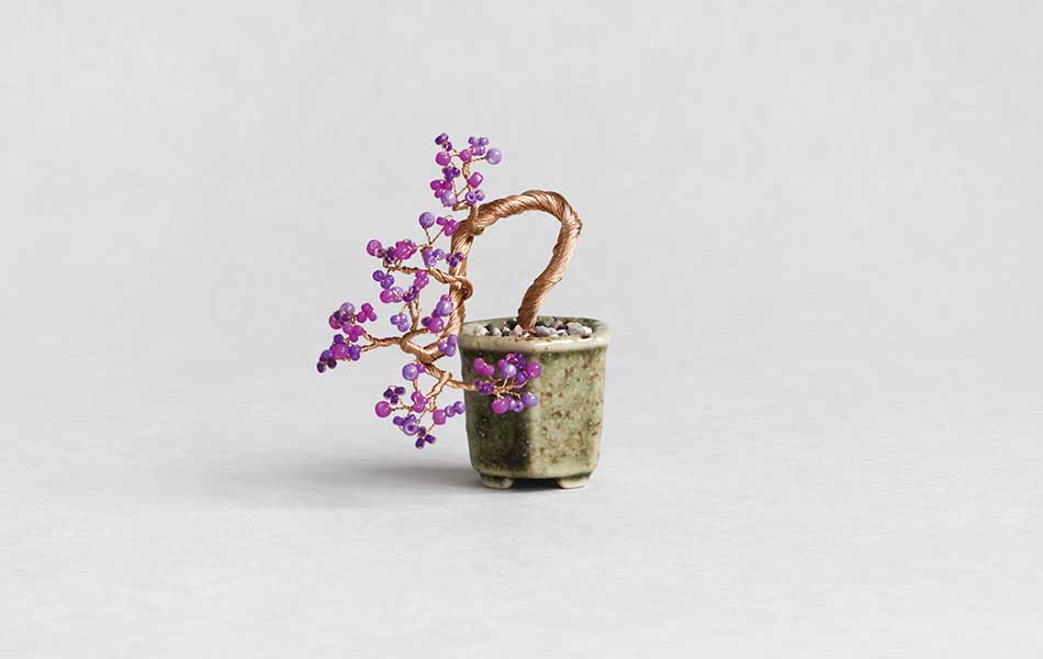 Japanese beautyberry / 紫式部