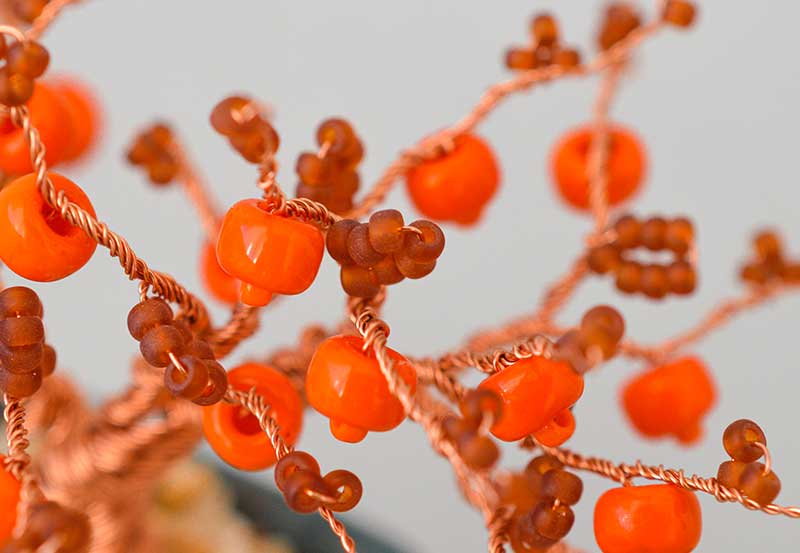 ネジッテBONSAI Persimmon / 柿