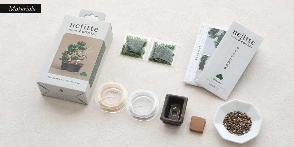 ネジッテBONSAI Shimpaku / 真柏