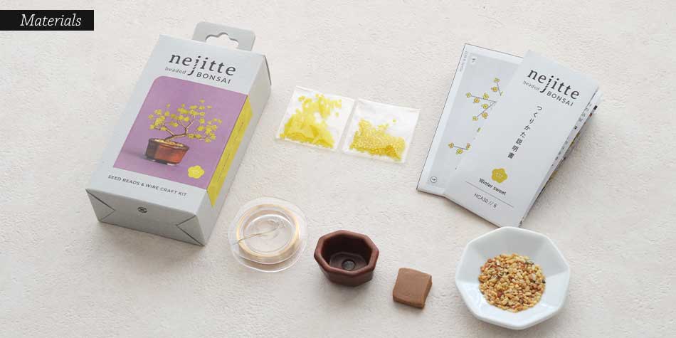 ネジッテBONSAI Winter sweet / 蝋梅