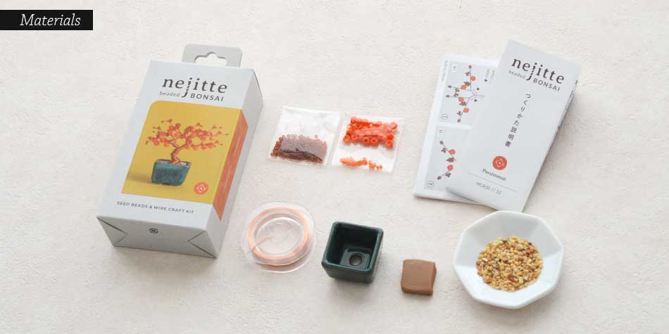 ネジッテBONSAI Persimmon / 柿