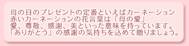 母の日のプレゼントの定番といえばカーネーション赤いカーネーションの花言葉は「母の愛」愛、尊敬、感謝、美といった意味をもっています。「ありがとう」の感謝の気持ちを込めて贈りましょう