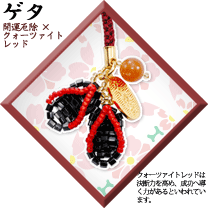 MIYUKIӡǺ뤫襤¾ʪ