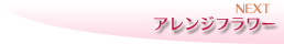 NEXT�֥���󥸥ե���